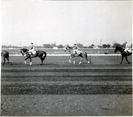 Jockeys walking horses on track, Hazel Park Raceway