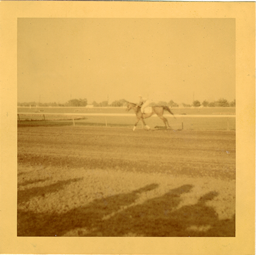 Jockey Howard Craig walking horse "Bolaris" on track, Hazel Park Raceway