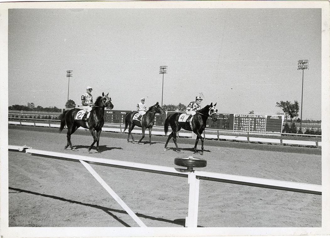 Jockey walking horses on track, Michigan Racing Association racetrack