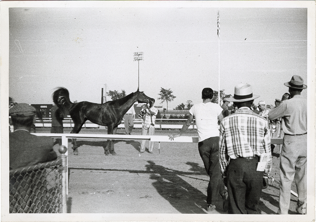 Winning horse, Michigan Racing Association racetrack