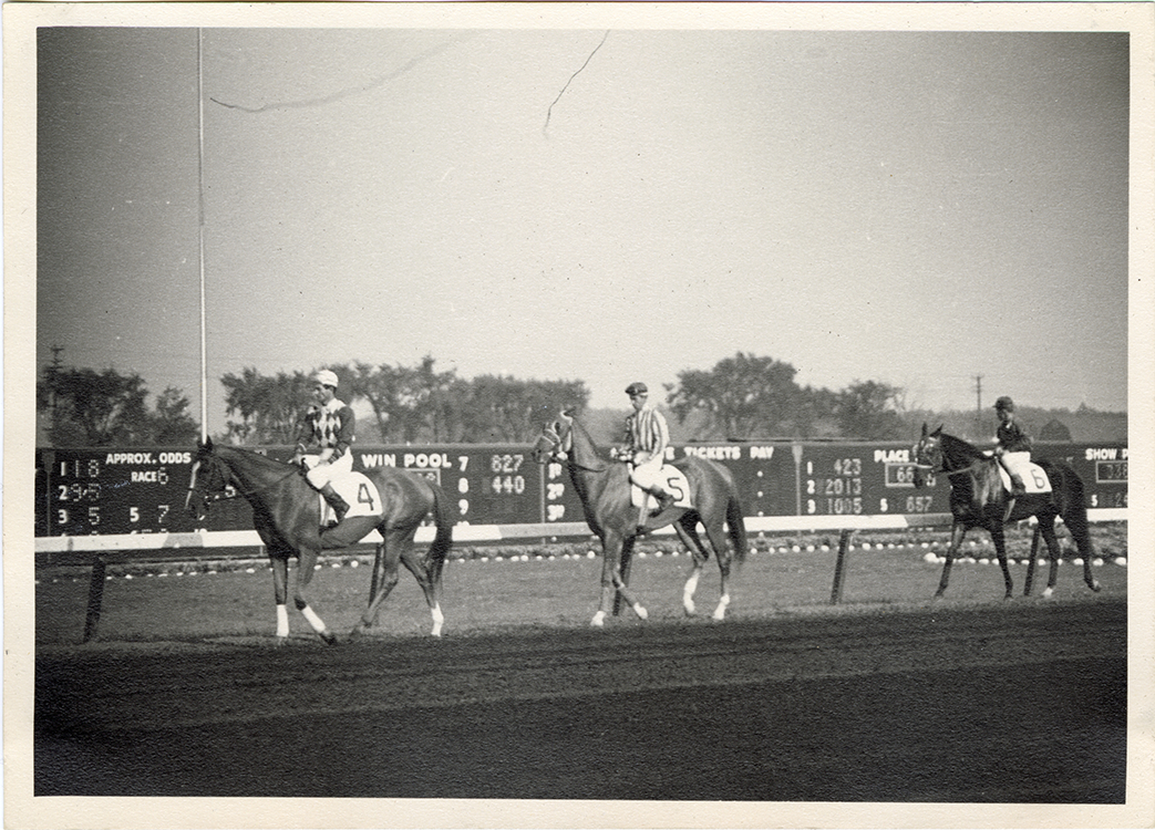 Jockeys walking horses in front of grandstand, Hazel Park Raceway