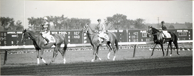 Jockeys walking horses in front of grandstand, Hazel Park Raceway