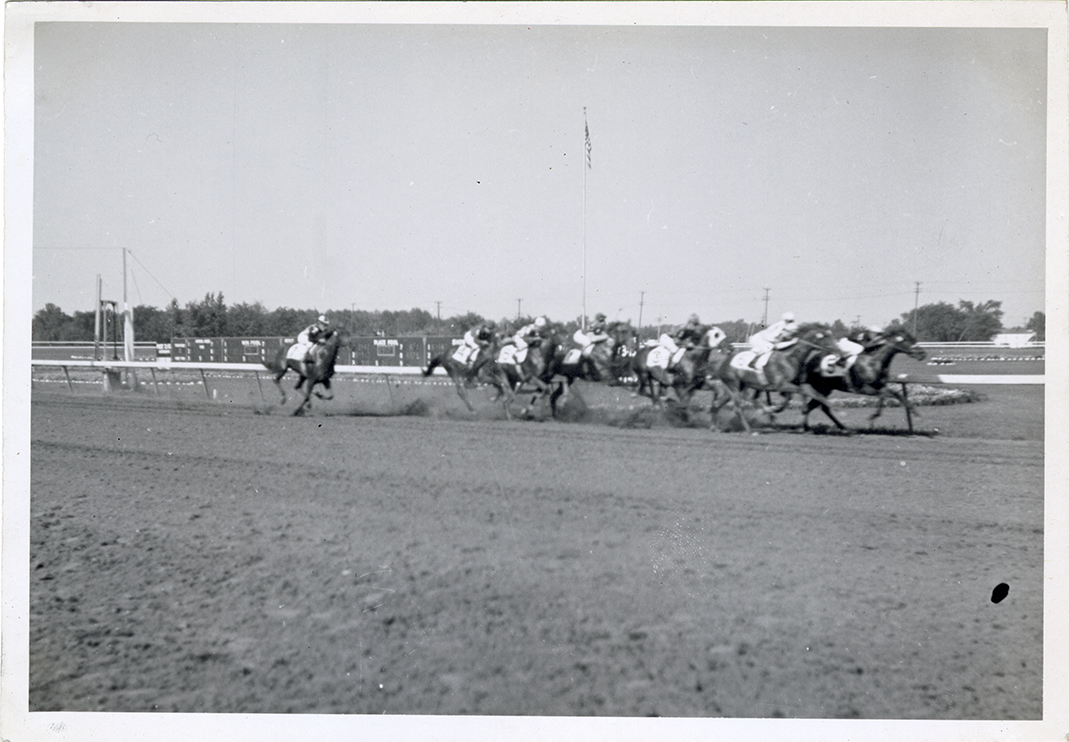 Horse race, Hazel Park Raceway