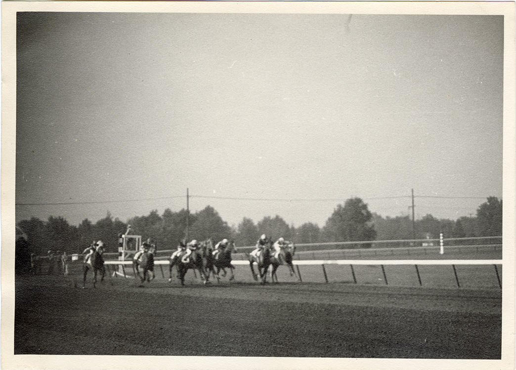 Horse race, Hazel Park Raceway