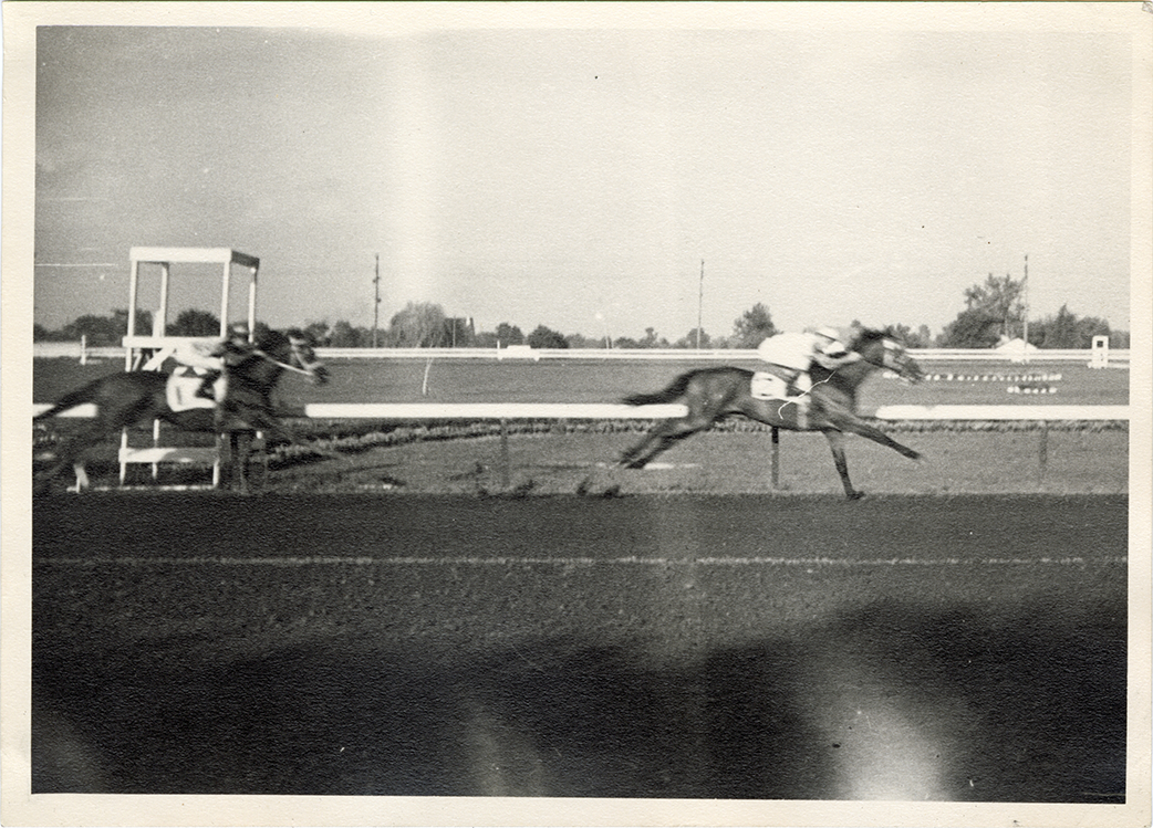 Horse race, Hazel Park Raceway