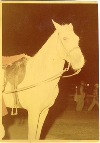 Horse "Nar," Michigan Racing Association racetrack