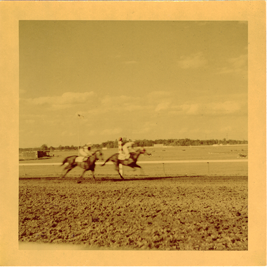 Horse race, Hazel Park Raceway