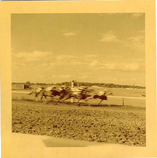 Horse race, Hazel Park Raceway