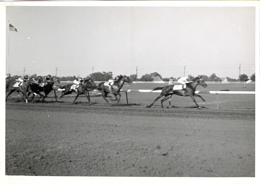 Horse race, Hazel Park Raceway