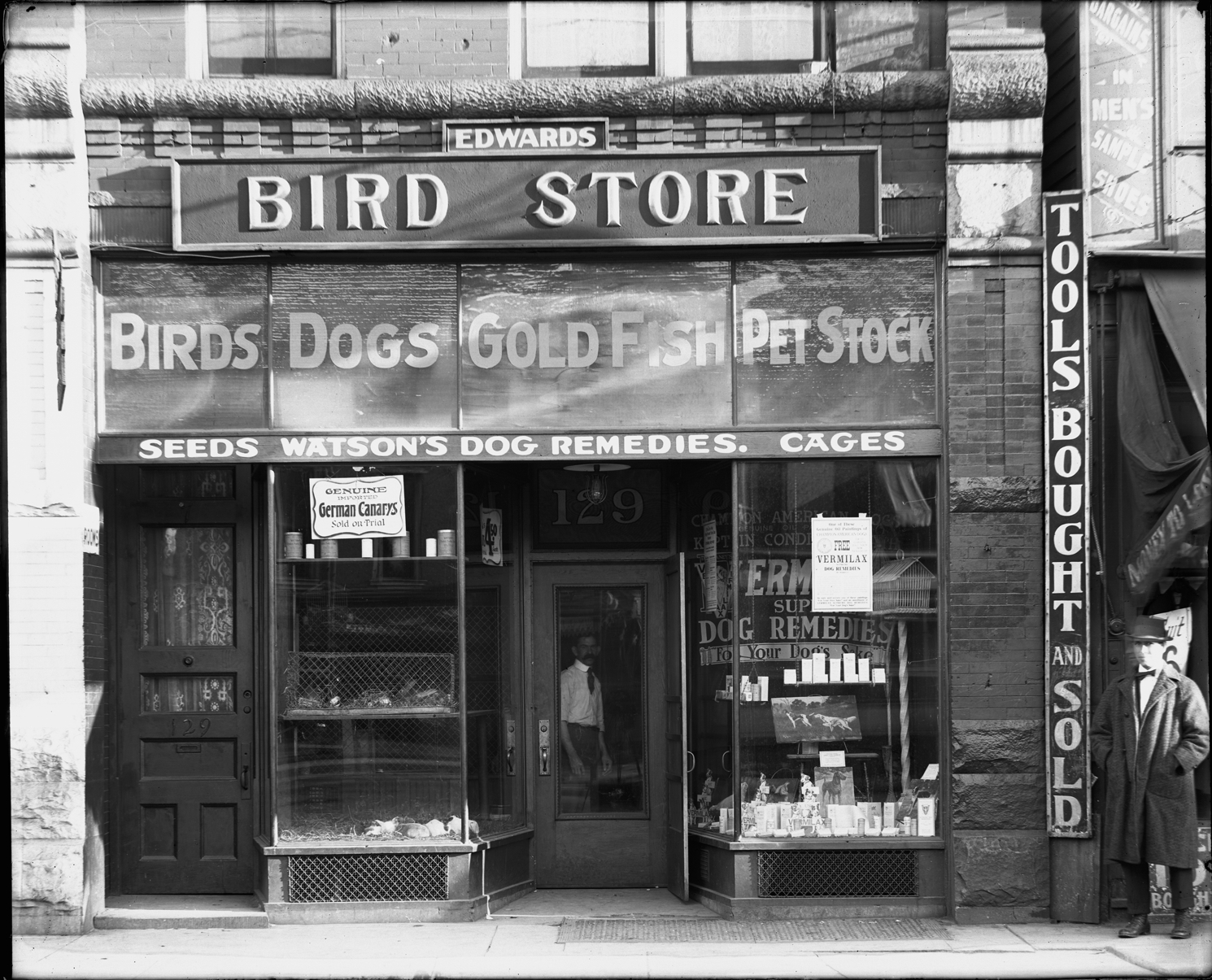 Edwards Bird Store DPL DAMS