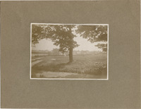 DPA0366--thumbnail.jpg