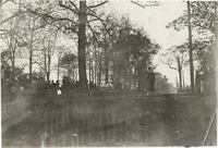 na012341--thumbnail.jpg