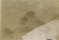 na004744--thumbnail.jpg