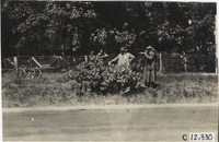 na011882--thumbnail.jpg