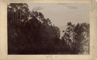 DPA0375--thumbnail.jpg