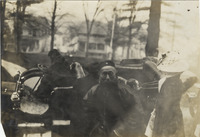 na016059--thumbnail.jpg