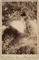 DPA0378--thumbnail.jpg
