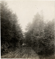 na022366--thumbnail.jpg