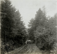 na022369--thumbnail.jpg