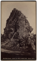 DPA0383--thumbnail.jpg