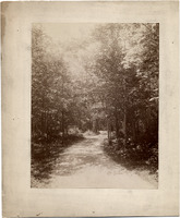 DPA0387--thumbnail.jpg