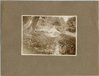 DPA0388--thumbnail.jpg