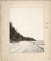 DPA0389--thumbnail.jpg