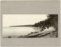 DPA0390--thumbnail.jpg