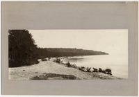 DPA0393--thumbnail.jpg
