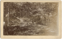 DPA0394--thumbnail.jpg