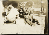 na019319--thumbnail.jpg