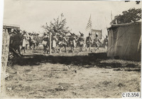 na011910--thumbnail.jpg