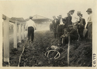 na009740--thumbnail.jpg