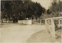 na013375--thumbnail.jpg