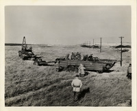 na032435--thumbnail.jpg