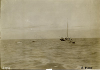 na004777--thumbnail.jpg