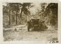 na025418--thumbnail.jpg