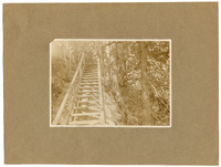 DPA0420--thumbnail.jpg