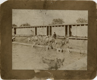 hr004119--thumbnail.jpg