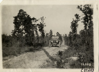 na031167--thumbnail.jpg