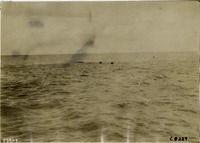 na004790--thumbnail.jpg