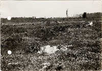 na050668--thumbnail.jpg