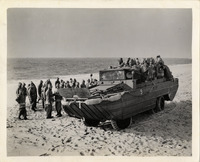 na032456--thumbnail.jpg