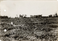 na050670--thumbnail.jpg