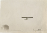 na003146--thumbnail.jpg