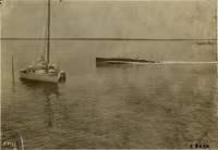 na004801--thumbnail.jpg