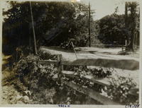 na015542--thumbnail.jpg