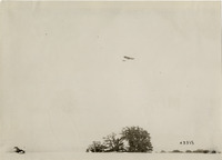 na003150--thumbnail.jpg