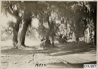 na012879--thumbnail.jpg