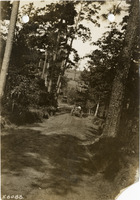 na026527--thumbnail.jpg